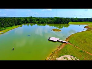 Building a 5 Acre Pond! (Adding Lily Pads and Vegetation)