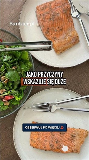 TO KONIEC NORTH FISHA? 🐟