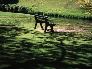 Centennial Park is a free walk in Timaru | Best walk details here