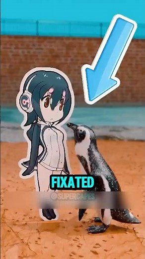 A Lonely Penguin Who Finds Its True Love With A Girl Cartoon🐧💗