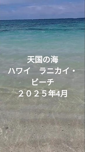全米1位 ハワイ 天国の海ラニカイビーチ2025年4月訪問 #観光 #ハワイ#海外旅行 #hawaii #旅行vlog #オアフ島 #shorts #おでかけvlog