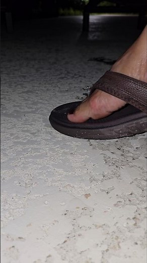 Bug crushed under my flip flops, it is messy , my feet and shoes needs to be cleaned afterwards 😳