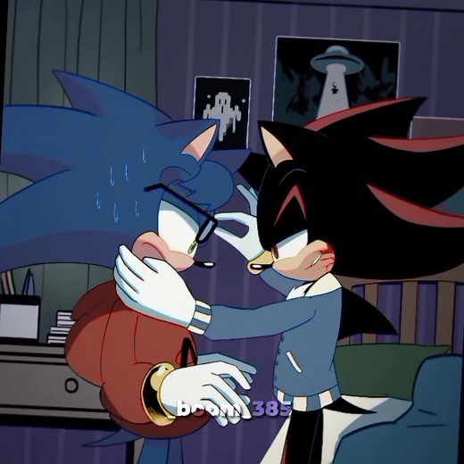 Explorando el Sonadow: Sonic y Shadow