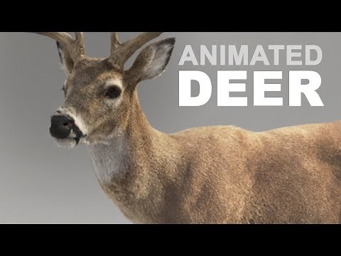 CG Deer Animated