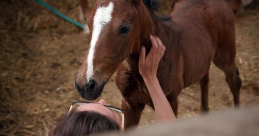 A new era of cloning is here—on the polo field