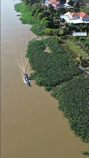 Khung Cảnh Sông Quê Miền Tây Trong Lành & Yên Bình