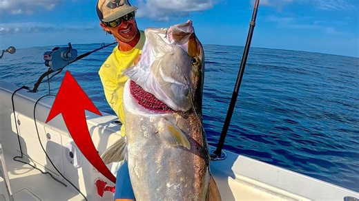 Automatic Fishing Reel Does the Work For You!