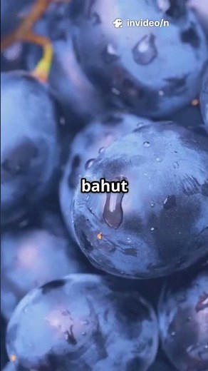 Unveiling the Magic of Blue Grapes: Freshness, Flavor, and Health Benefits!