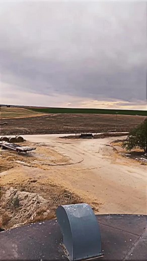 #feedlot #nebraska #livingmybestlife #fyp #cowchow #makemefamous