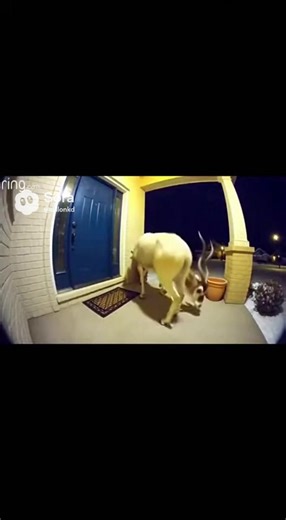 Drop it#dance #viral #move