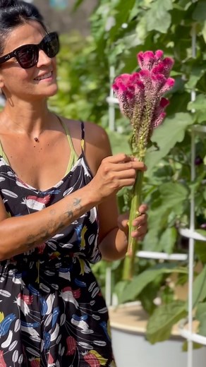 1.8M views · 36K reactions | From seed to harvest, each crop has a...