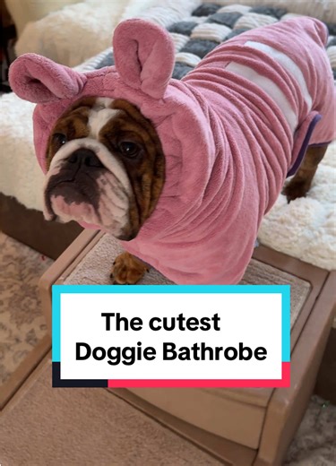 Cutest Dog Bathrobe for Your Furry Friend