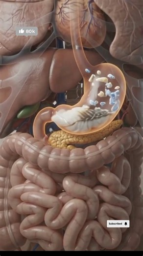 What Happens When You Eat White Fish Every Day? 🐟 #medicalanimation #nutritionmonth #nutritionfacts