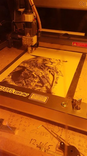 Engraving a Pirate Lion Portrait on Paper