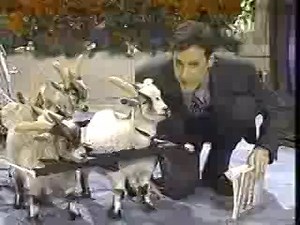 America's Funniest Home Videos (December 1993, taped 5/28/94 off AFRTS)