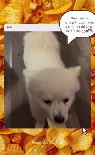 Bugg knows potato chips aren’t just food — they’re an experience