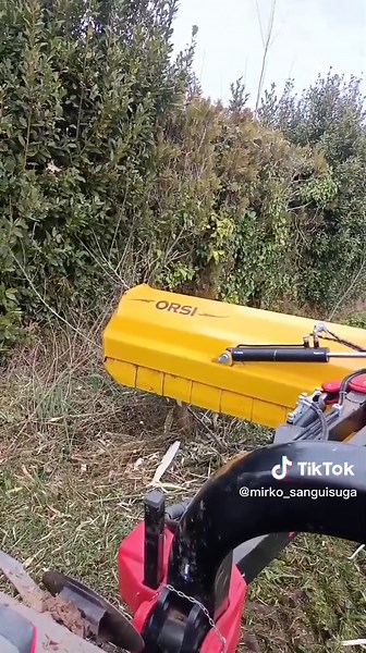 Video di Mirko Sanguisuga Bag (@mirko_sanguisuga) con Dreams (Will Come Alive) - 2 Brothers On The 4th Floor