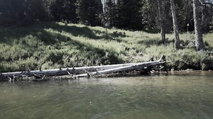 Das Rätsel von Cleveland