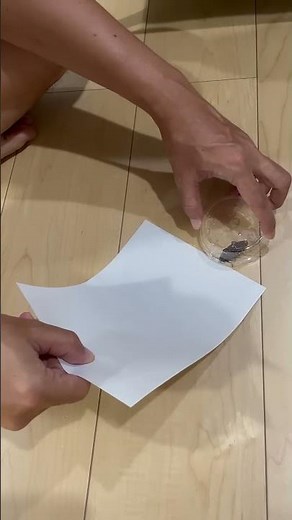 ゴキブリをカップに閉じ込める事に成功した