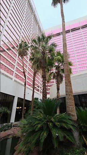 The Flamingos Inside Flamingo Hotel, Las Vegas
