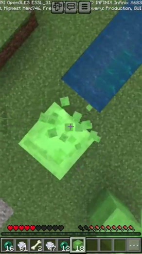 Double Slime Block Bounce! 🟢🟢 #Minecraft