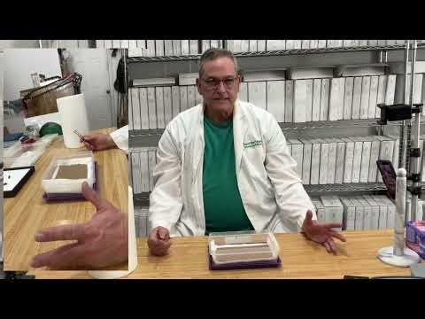 Creating An Insect Relaxing Chamber