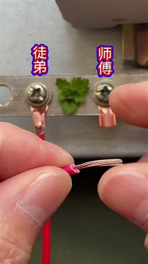 wire to nut connection quickly ✔️