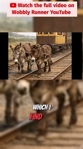 The Mystery of the Delph Donkey #shorts