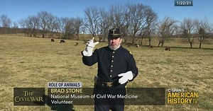 Role of Civil War Animals