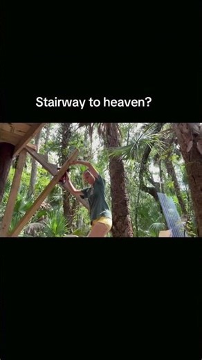 DIY Off-Grid Treehouse | Stairs Built from Scrap Wood #shorts