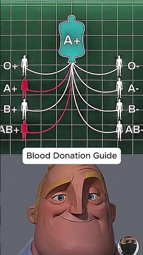 Who Can Receive Your Blood? Blood Groups Explained