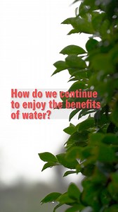 1.3K views | You still have time to help us develop our first...