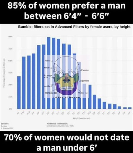 Exploring Height: Average Statistics and Personal Stories