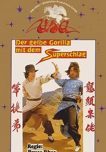 Crazy Guy with Super Kung Fu streaming online