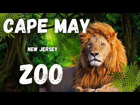 Cape May Zoo Full Tour 2025 | 50+ Animals | Free to Visit