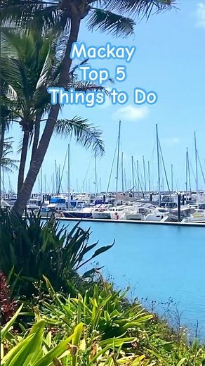 ⛵ Mackay Top 5 Things to Do #mackay #queensland #queenslandaustralia