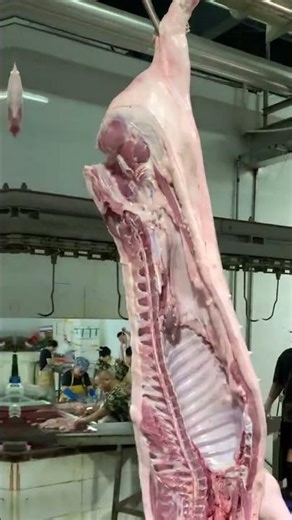 The "ultimate end" of a pig: take you straight to the entire process of the slaughter center!