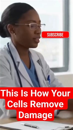 This Is How Your Cells Remove Damage