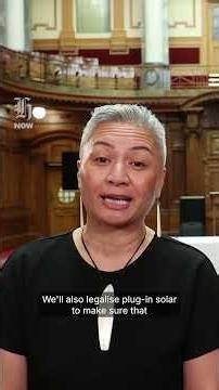 Sausage bit: Davidson details $980m ($3bn?) 'Kiwipower' plan