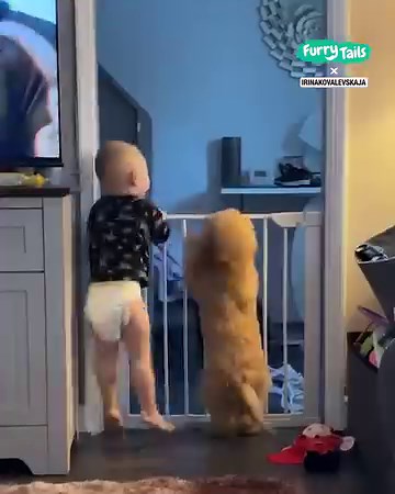 19M views · 323K reactions | Just two babies having fun and growing up together ❤️ | Furry Tails | Facebook