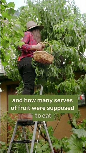 Woman Grows 92% of Her Vegetables in a Tiny City Backyard! #gardening #sustainability