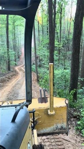 Clearing for fence row