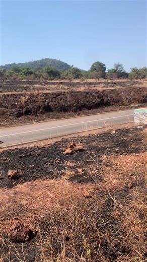 Les meilleures vidéos TikTok de cette semaine