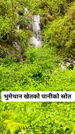 A Beautiful Natural Spring - A Source of Water for our Field | Amit Gurung