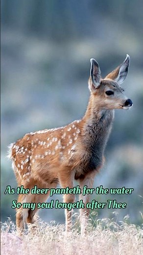 As the Deer Panteth for the Water.#shorts#worship#song#christianmusic