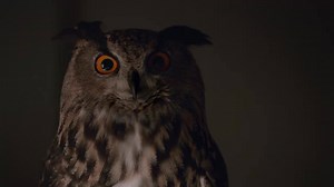 583 reactions · 137 shares | WGU - A New Kind of U. | Western Governors University | Facebook