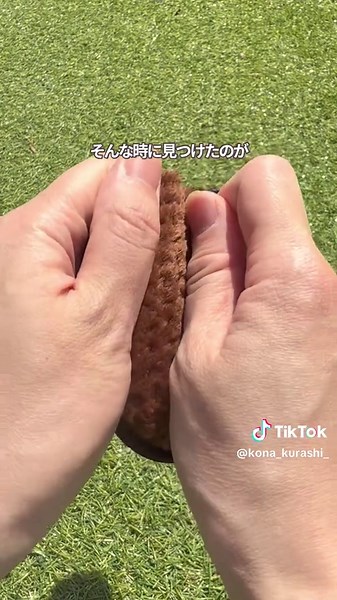 車内掃除のダイソーグッズ活用法