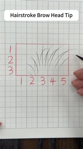 PMU Supply Shop - Penny Peng on Instagram: "A natural hairstroke brow is decided at the brow head, not the tail. In this practice, we use a grid mapping method to train precision, spacing, and flow — instead of relying on guesswork. Key rules for a clean, natural brow head: • Define the brow head area first before drawing • Start from the center axis and fan strokes outward • Lighter, shorter strokes in the front • Gradually increase depth and density toward the middle • Avoid over-layering — de