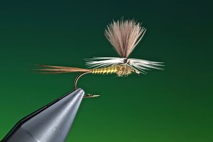 All about Blue winged olive fly and how to tie