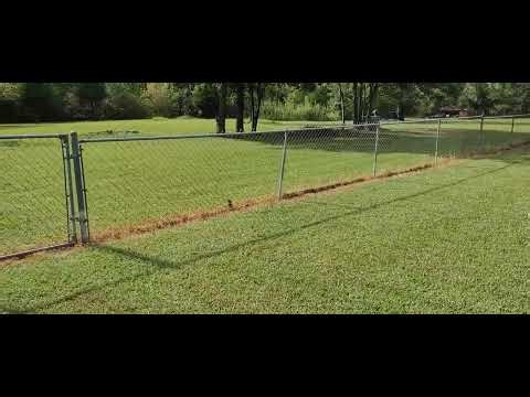 Cut Quality Of The Exmark Quest E-series 50" Riding Lawn Mower QZE725GKC50200